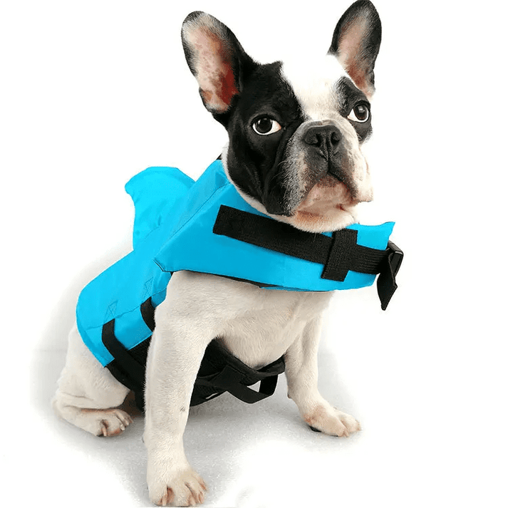 Gilet de sauvetage pour chien Shark - Gardez votre animal en sécurité et élégant dans l'eau 