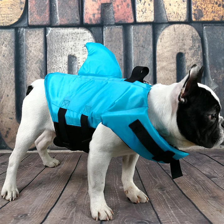 Gilet de sauvetage pour chien Shark - Gardez votre animal en sécurité et élégant dans l'eau 