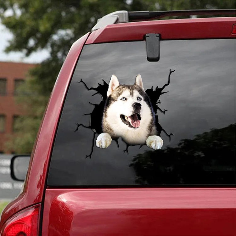 Siberian Husky Crack Car Sticker, Toilet Sticker, Fridge Sticker 11