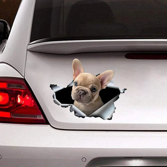 FUNNY FRENCH BULLDOGS CRACK CAR STICKER LOVER