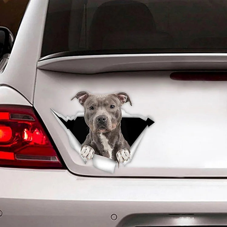 Pitbull Torn Sticker