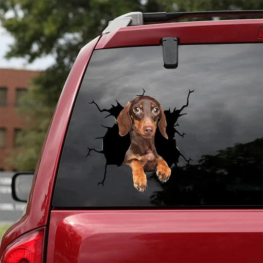 Dachshund Crack Car Sticker, Toilet Sticker, Fridge Sticker (43)