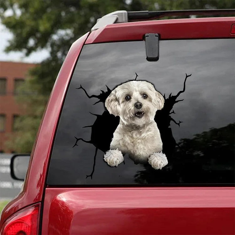 AUTOCOLLANT DE VOITURE Crack HAVANAIS AMANT DE CHIENS 1