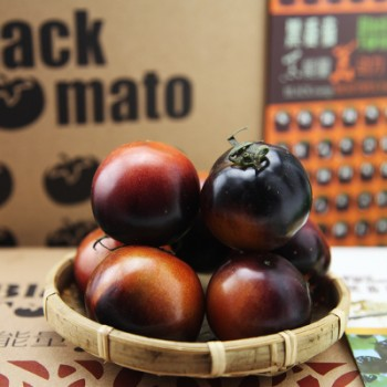 Black Tomato - Black Beauty Queen🍅