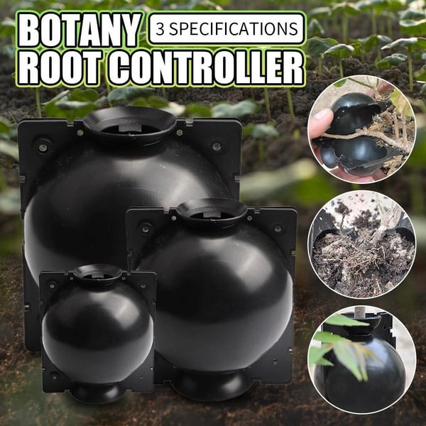 🌱Plant Root Growing Box