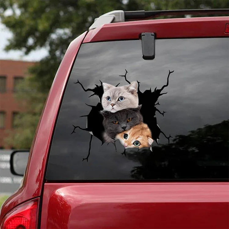 Autocollant de voiture Amoureux des chats (178)