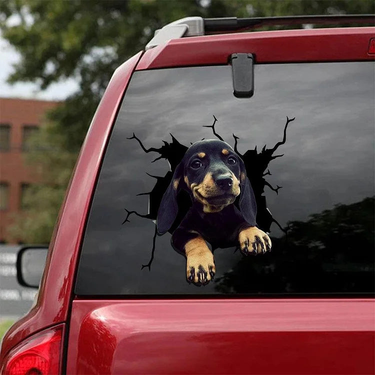 Dachshund Crack Car Sticker, Toilet Sticker, Fridge Sticker (11)