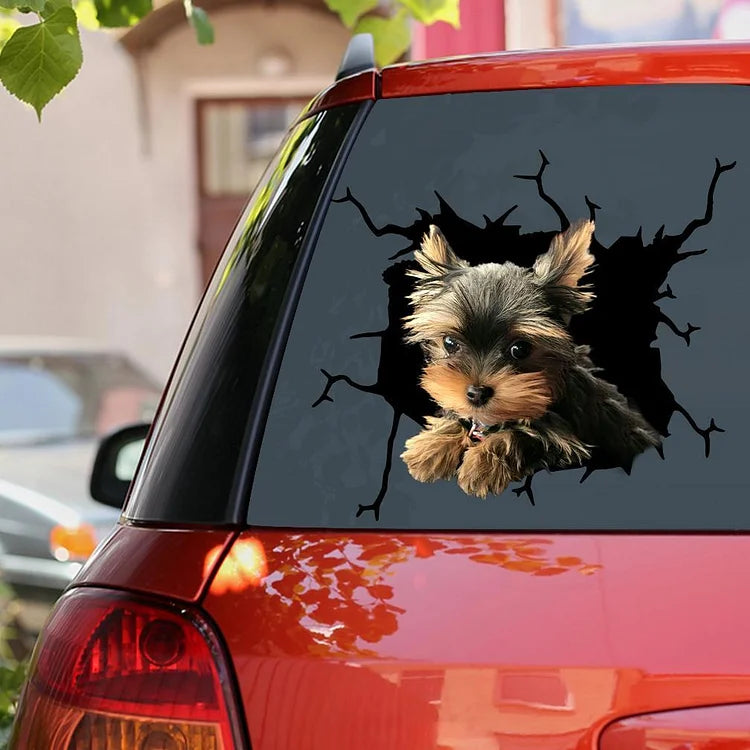 Vinilos decorativos para coche Yorkshire Terrier Lover 6