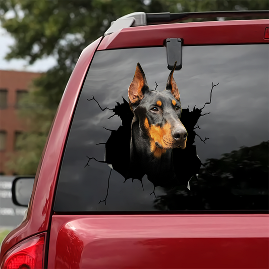 Doberman Carck Sticker