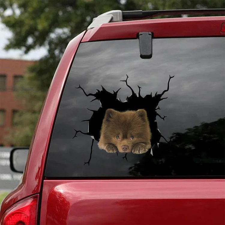 Pomeranian Crack Car Sticker, Toilet Sticker, Fridge Sticker 12