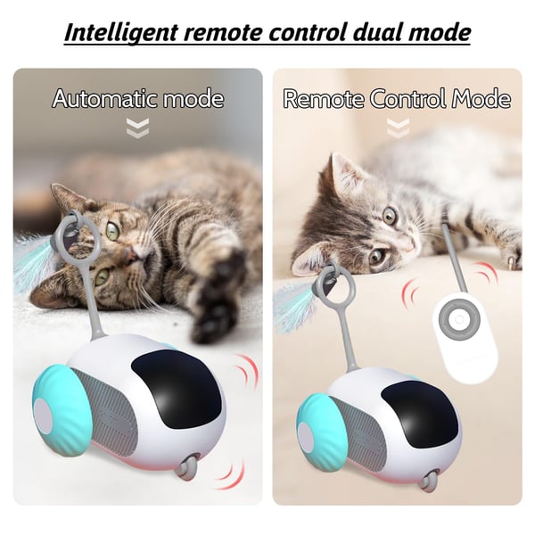 😻Jouet automatique pour chat 