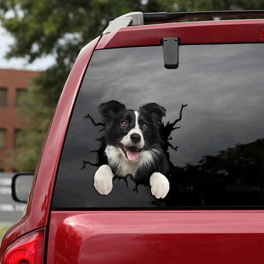 Border Collie Crack pegatina para coche, pegatina para inodoro, pegatina para nevera 15