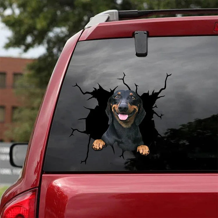 Dachshund Crack Car Sticker, Toilet Sticker, Fridge Sticker (36)