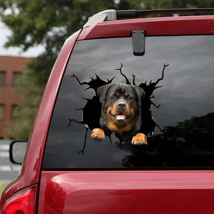 AUTOCOLLANT DE VOITURE DRÔLE DE FISSURE DE ROTTWEILER