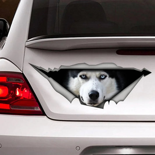 Pegatina de coche husky