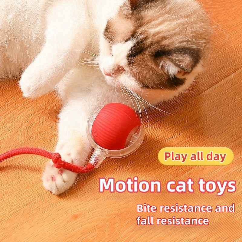 🐱🐶Automatic LED Interactive Pet Toys Ball🔥Buy 3 Free Shipping