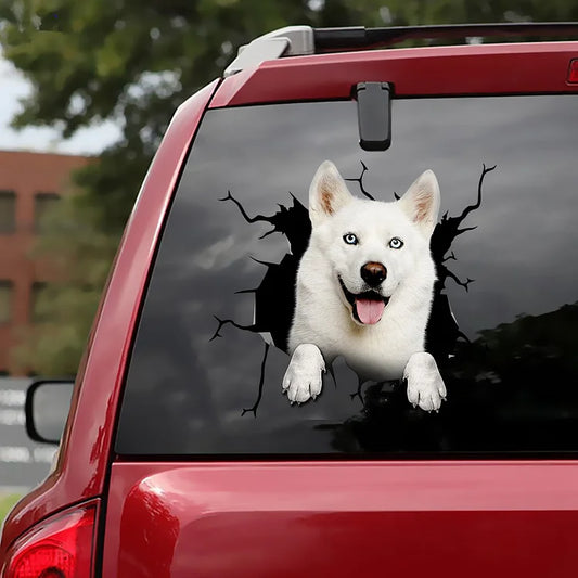 Vinilo decorativo para coche Husky siberiano blanco