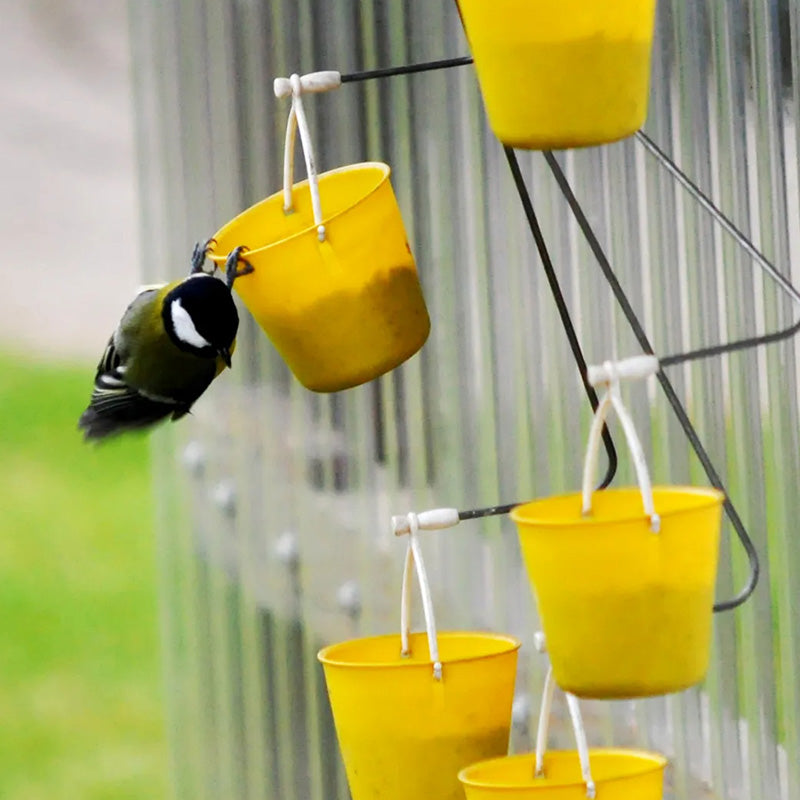 Mangeoire à oiseaux amusante à grande roue - Créez une aire de jeux pour oiseaux dans votre jardin