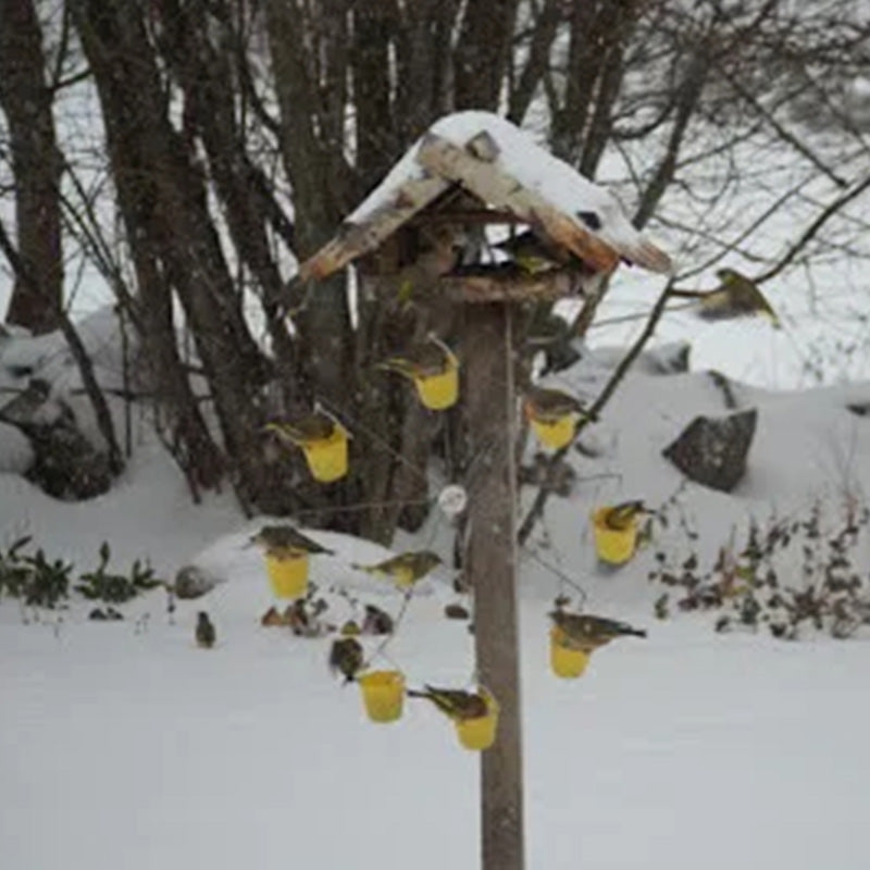 Fun Ferris Wheel Bird Feeder - Create a bird playground in your garden