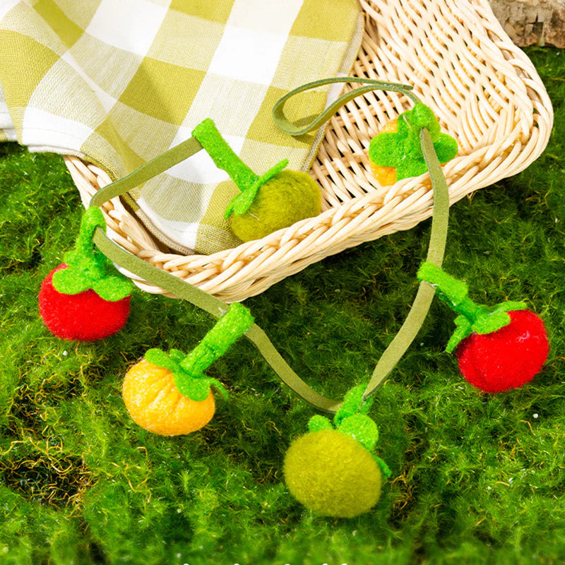 📢📢HOT SALE !!!✨Interactive Fruit-Shaped Catnip Toy String