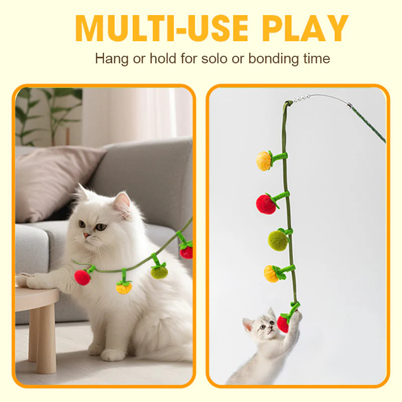 📢📢HOT SALE !!!✨Interactive Fruit-Shaped Catnip Toy String