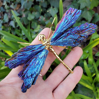 AURA TOURMALINE KYANITE DRAGONFLY