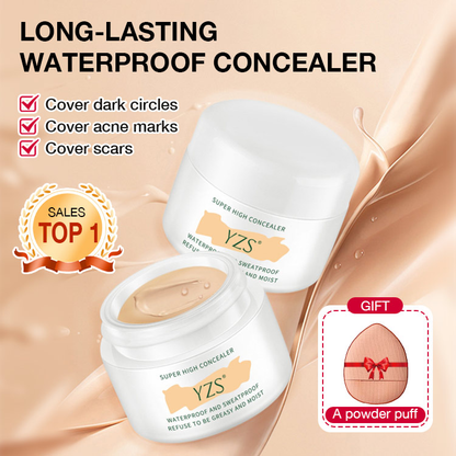 YZS Long lasting waterproof concealer