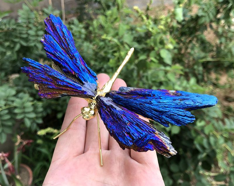 AURA TOURMALINE KYANITE LIBELLULE