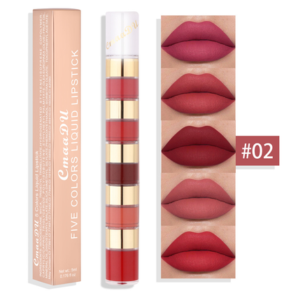 5 in 1 Matte Lipstick Set