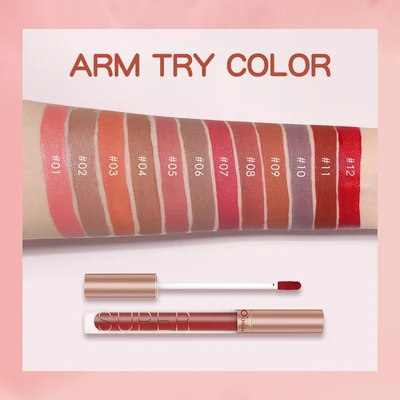 12 Colors Velvet Matte Long Lasting Lip Gloss