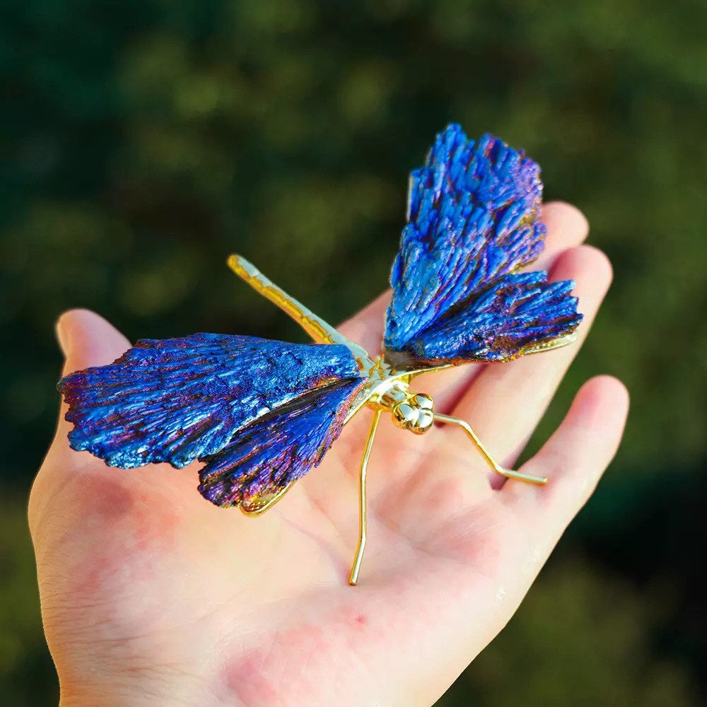 AURA TOURMALINE KYANITE LIBELLULE