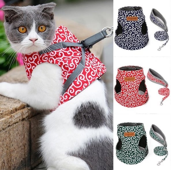 🔥Vente de liquidation 48% de réduction🔥Gilet et laisse pour chiens et chats, harnais et laisse anti-casse, sangle de poitrine, vêtements pour chats👍Achetez-en 3, livraison gratuite