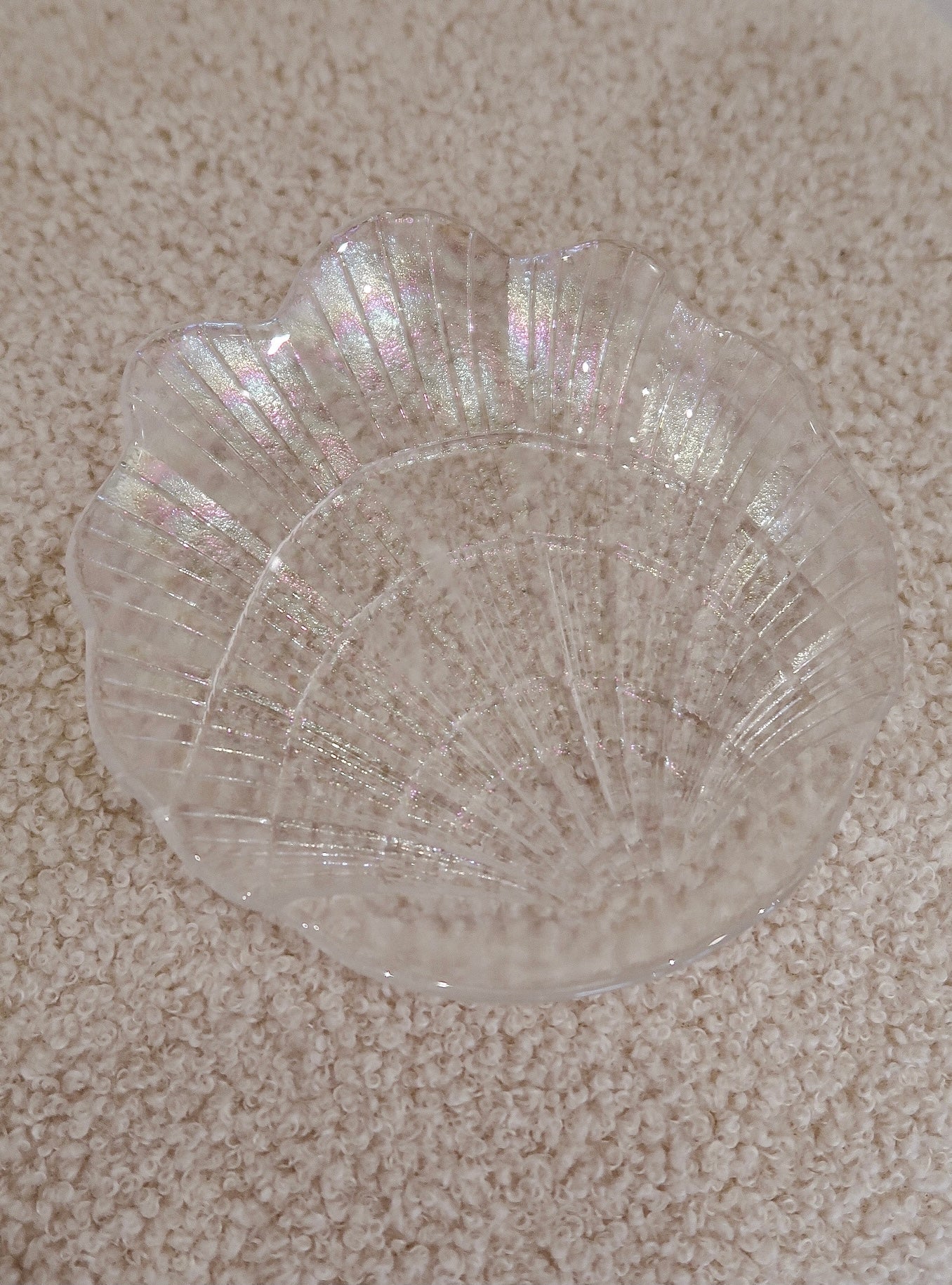 Rainbow Shell Plate